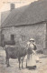 24-4721 :  MILKING TIME . JERSEY.  COIFFE. FOLKLORE - Sonstige & Ohne Zuordnung