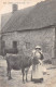24-4721 :  MILKING TIME . JERSEY.  COIFFE. FOLKLORE - Andere & Zonder Classificatie