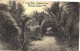 Congo Belge - Carte Prétimbrée No 14 - Avenue Des Palmiers à Banana - Belgisch-Congo