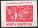 Delcampe - Droits De L' Homme - Human Rights  XXX - Joint Issues