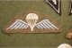 Lot D'écussons Militaires  Parachutiste épée - Stoffabzeichen