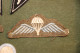 Lot D'écussons Militaires  Parachutiste épée - Blazoenen (textiel)