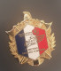 Très Bel Insigne De Pompier "Fédération Nationale Anciens Sapeurs Pompiers / Sapeurs Pompiers France" - Brandweer