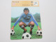 FOOTBALL PHOTO 16x12 1977 Michel PLATINI Au Dos ARTICLE Sur CARRIERE  - Deportes