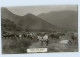 H216/ Cattle In Zululand Near Natal Südafrika Foto AK Ca.1912 - Zonder Classificatie