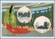 Y3600/ Japan  Ise Shrine - Nara Park  Schöne Prägedruck AK Ca.1920 - Autres & Non Classés