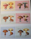 Collection De Timbres Sur Le Thème Des Champignons. - Colecciones (sin álbumes)