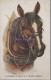 Animals Postcard - Working Horse, Artist Florence.E.Valter  DZ106 - Horses