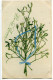 LOT 3 CPA Ecrites 26.12.1917 * BONNE ANNÉE Houx Et Gui Fer à Cheval Et Lierre Bouquet Gui Ruban Bleu - Anno Nuovo