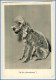 W7L06/ Bedlington Terrier  Hund SchÃ¶ne Foto AK  Ca.1940-50 - Honden