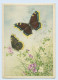 I1285/ Schmetterling Schöne AK Ca.1940 - Honden