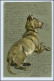 W4M01/ Hunde Liegender Hund 1902 AK - Perros