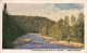 Newfoundland - Pulpwood On The Way To The Mill - Publ. Guardian Associates Ltd.  - Other & Unclassified