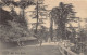 India - SIMLA - The Mail - Publ. The Phototype Co.  - India