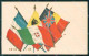 Militari Propaganda WW1 Alleati Bandiere Flags Cartolina XF8480 - Autres & Non Classés