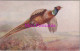 Animals Postcard - British Game Birds, Artists Pheasant     DZ117 - Oiseaux