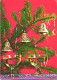 HOLIDAYS, CELEBRATION, CHRISTMAS, BELLS, CHAMPAIN, POSTCARD - Sonstige & Ohne Zuordnung