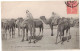 AFRIQUE DU NORD MAGHREB ALGERIE : CHAMEAUX DANS LE DESERT - CHAMELIERS - CIRCULEE VERS MARTEL LOT - Scene & Tipi