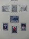 Delcampe - Belgien 1960-1974 Postfrisch Besammelt Auf Selbstgestalteten Seiten #LY825 - Other & Unclassified