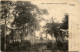 Congo - Plantations Dans Le Mayumbe - Other & Unclassified