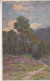 A17. Vintage Postcard. View Of A Wooded Area By R. Borgognoni. - Bäume