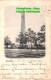 R430835 London. Cleopatras Needle. 3350. Peacock Brand. 1902 - Sonstige & Ohne Zuordnung