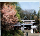 Japan - Kamakura - Sonstige & Ohne Zuordnung