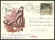 BRAZIL: RHM.160, Postal Card Used On 11/DE/1979, Very Fine Quality, Rare! - Sonstige & Ohne Zuordnung