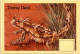20-4-2024 (2 Z 35) Older Australia Maxicard (Thorny Devil) If No Bid - This Items Will NOT Be Re-listed For Sale - Cartas Máxima
