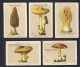 BLECAO - FRANCE 5x MUSHROOM VTC Chromo - Sonstige & Ohne Zuordnung