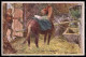 Artist Signed Ludwig Koch Horse Pferd Cat BKWI Serie 660-5 Postcard VK6757 - Autres & Non Classés