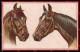 Illustratori Artist Signed Norfini Horse Pferd Cheval Serie 713-3 Pc ZG6034 - Autres & Non Classés