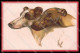 Illustratori Artist Signed Norfini Greyhound Dog Serie 712-5 Pc ZG6043 - Andere & Zonder Classificatie