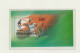 Indonesia 1996 Olympic Games In Atlanta Souvenir Sheet + Set MNH/**. Postal Weight Approx 99 Gramms. Please - Zomer 1996: Atlanta