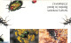 Israel 1994 Beetles Booklet, Mint NH, Nature - Insects - Stamp Booklets - Nuovi (con Tab)