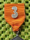 Medaile  : Sportvereniging Helmond - 80 Km 1980  . -  Original Foto  !!  Medallion  Dutch - Sonstige & Ohne Zuordnung