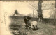 FRANCE-  Carte Postale De La Recherche De La Truffe Avec Cochon  En Périgord - L 152076 - Cerdos