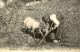 MÉTIERS -  Carte Postale De La Recherche De La Truffe En Périgord Avec Cochon - L 152085 - Maiali