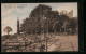 AK Drachenfels, Garten-Restaurant Drachenfels Mit Ruine Und Denkmal  - Drachenfels