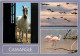 Animaux - Chevaux - Camargue - Multivues - Flamants - CPM - Voir Scans Recto-Verso - Caballos