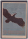 Dt Reich (W00171) Propagandakarte NS- Fliegerkorps (NSFK), Deutschland Für Immer Die Stärkste Luftmacht Der Welt, Gelauf - Matériel