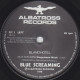 BLUE SCREAMING - Bland Hotel - Autres - Musique Anglaise