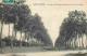 91 - Montgeron - Avenue Du Château Conduisant à La Foret De Sénart - CPA - Voir Scans Recto-Verso - Montgeron