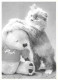 Animaux - Chats - CPM - Voir Scans Recto-Verso - Chats