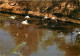 Oiseaux - Flamants Roses - Camargue - Flamingos - CPM - Voir Scans Recto-Verso - Oiseaux