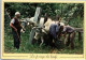 Le Ferrage Des Boeufs   Métiers D'Antan.   Editions Nivernaises. - Landbouwers