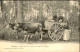 METIERS - Carte Postale Des Landes - Dans La Forêt, Mise En Barrique De La Résine - Attelage - L 152107 - Craft