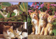 CHATS LOT DE 30 CARTES TOUTES SCANNEES - Cats