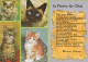 Delcampe - CHATS LOT DE 30 CARTES TOUTES SCANNEES - Katzen