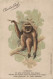 SINGE PUBLICITE CHOCOLAT LOUIT GIBBON LE PLUS INTELLIGENT DES SINGES FORET INDO CHINOISE CPA BON ETAT - Monkeys